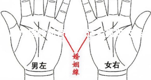 风水摆件都有哪些 适合属龙的选择